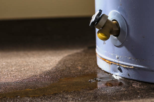 Best Water damage contractors near me  in Cheraw, SC