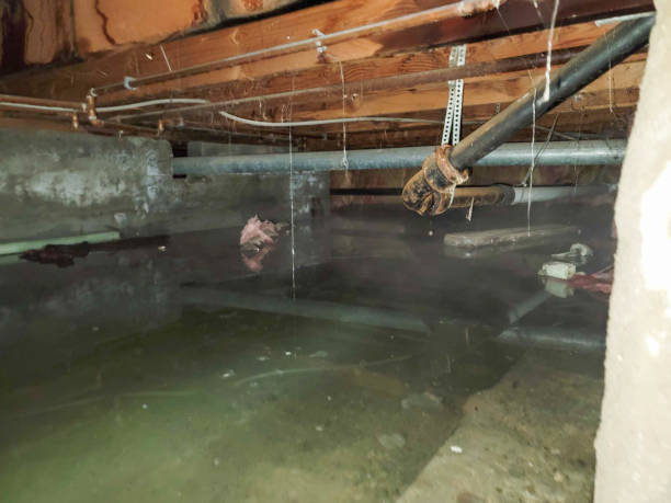 Best 24/7 water damage repair  in Cheraw, SC
