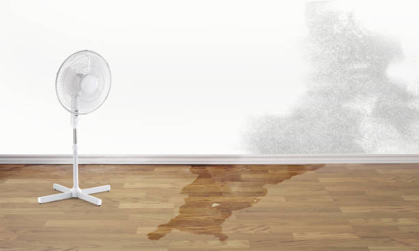 Best Water damage restoration near me  in Cheraw, SC