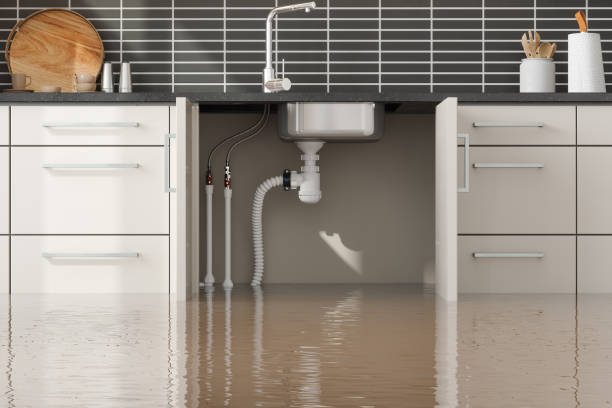 Best Water damage restoration cost  in Cheraw, SC